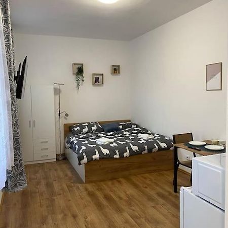 Cozy 1 Bedroom Studio In The Center Of Pilsen Esterno foto